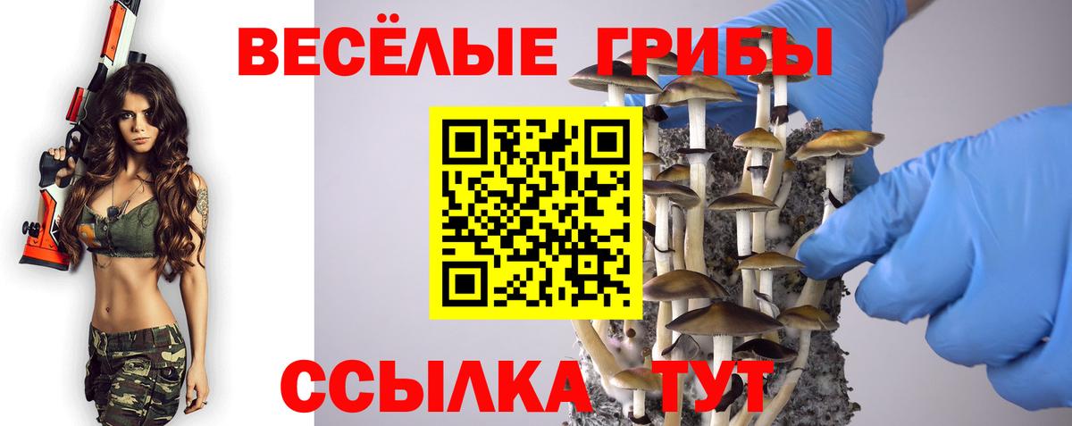 Богородицк  Псилоцибиновые грибы GOLDEN TEACHER  Вход с VPN 