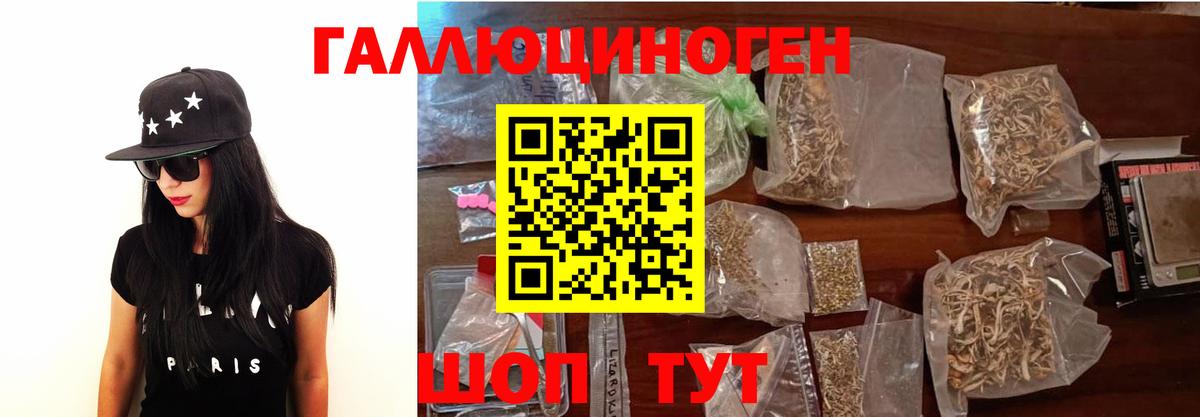 Псилоцибиновые грибы Cubensis Богородицк